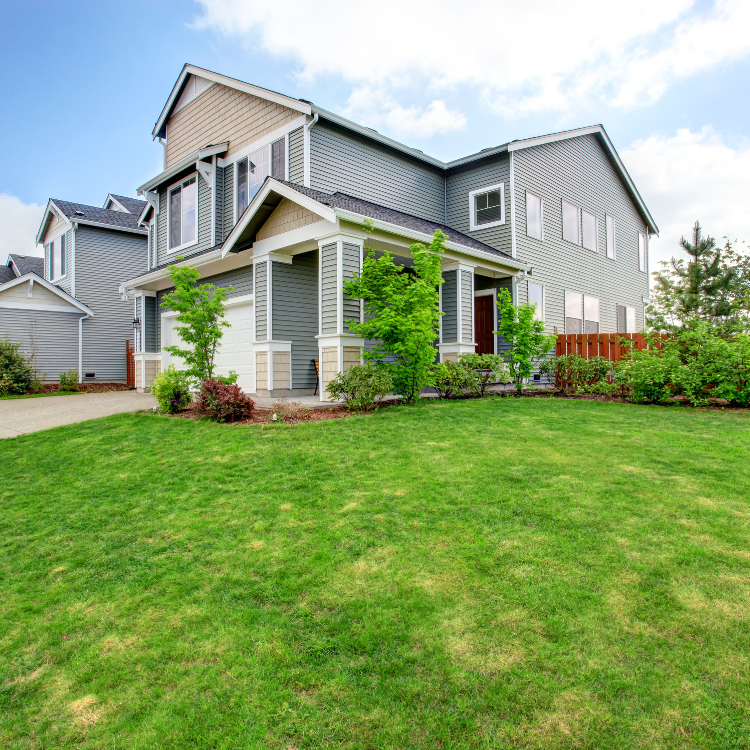 Landscaping Service in Nevada