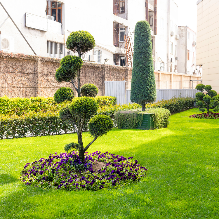 Landscaping Service in Nevada